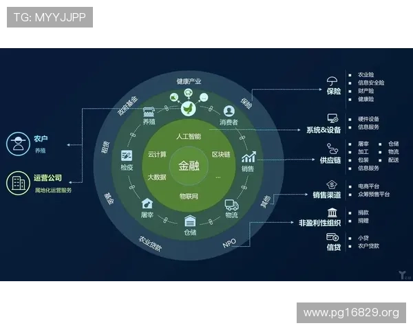 全面解析博狗在线平台的优势与安全保障措施